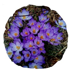 Signs Of Spring Purple Crocua Large 18  Premium Round Cushions by Riverwoman