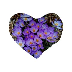 Signs Of Spring Purple Crocua Standard 16  Premium Heart Shape Cushions by Riverwoman