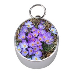 Signs Of Spring Purple Crocua Mini Silver Compasses by Riverwoman