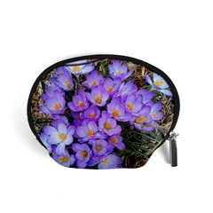 Signs Of Spring Purple Crocua Accessory Pouch (small) by Riverwoman