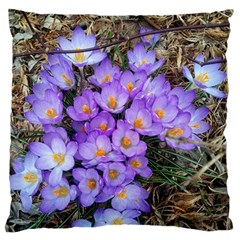 Signs Of Spring Purple Crocua Standard Flano Cushion Case (two Sides) by Riverwoman