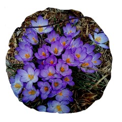 Signs Of Spring Purple Crocua Large 18  Premium Flano Round Cushions by Riverwoman