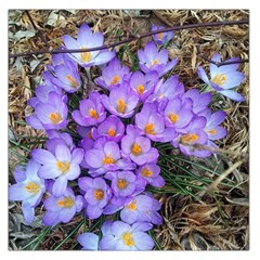 Signs Of Spring Purple Crocua Large Satin Scarf (square) by Riverwoman