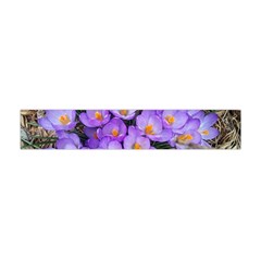 Signs Of Spring Purple Crocua Flano Scarf (mini) by Riverwoman