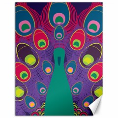 Peacock Bird Animal Feathers Canvas 12  X 16 