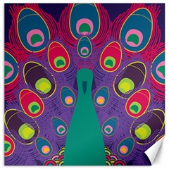 Peacock Bird Animal Feathers Canvas 20  X 20 