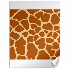 Giraffe Skin Pattern Canvas 36  X 48 