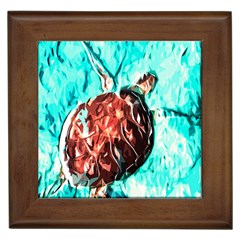 Tortoise Marine Animal Shell Sea Framed Tiles