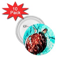 Tortoise Marine Animal Shell Sea 1 75  Buttons (10 Pack) by HermanTelo