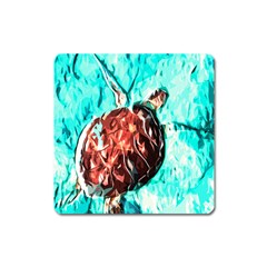 Tortoise Marine Animal Shell Sea Square Magnet