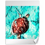 Tortoise Marine Animal Shell Sea Canvas 12  x 16  11.86 x15.41  Canvas - 1