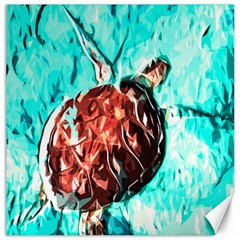 Tortoise Marine Animal Shell Sea Canvas 16  X 16  by HermanTelo