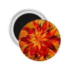 Flower Blossom Red Orange Abstract 2.25  Magnets