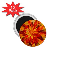 Flower Blossom Red Orange Abstract 1 75  Magnets (10 Pack)  by Pakrebo