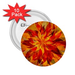 Flower Blossom Red Orange Abstract 2 25  Buttons (10 Pack)  by Pakrebo