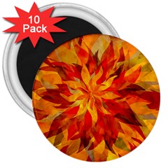 Flower Blossom Red Orange Abstract 3  Magnets (10 pack) 