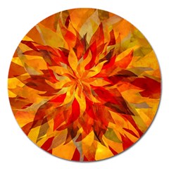 Flower Blossom Red Orange Abstract Magnet 5  (Round)