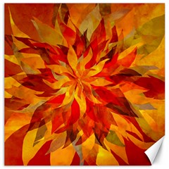 Flower Blossom Red Orange Abstract Canvas 12  x 12 