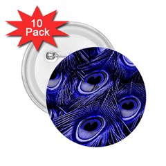 Peacock Feathers Color Plumage 2 25  Buttons (10 Pack)  by Pakrebo