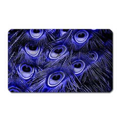 Peacock Feathers Color Plumage Magnet (rectangular) by Pakrebo