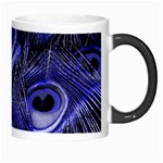 Peacock Feathers Color Plumage Morph Mugs Right