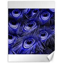 Peacock Feathers Color Plumage Canvas 12  X 16  by Pakrebo