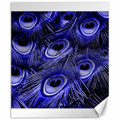 Peacock Feathers Color Plumage Canvas 20  X 24  by Pakrebo