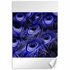 Peacock Feathers Color Plumage Canvas 24  X 36  by Pakrebo