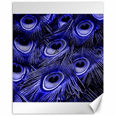 Peacock Feathers Color Plumage Canvas 11  X 14  by Pakrebo