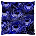 Peacock Feathers Color Plumage Large Cushion Case (One Side) Front