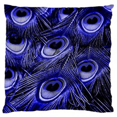 Peacock Feathers Color Plumage Standard Flano Cushion Case (two Sides) by Pakrebo