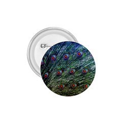 Peacock Feathers Colorful Feather 1 75  Buttons by Pakrebo