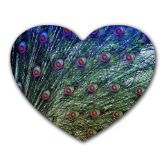 Peacock Feathers Colorful Feather Heart Mousepads