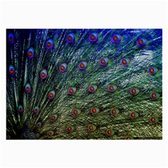 Peacock Feathers Colorful Feather Large Glasses Cloth (2-side) by Pakrebo