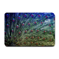 Peacock Feathers Colorful Feather Small Doormat  by Pakrebo