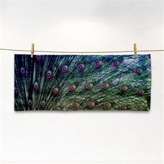 Peacock Feathers Colorful Feather Hand Towel by Pakrebo