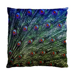 Peacock Feathers Colorful Feather Standard Cushion Case (one Side) by Pakrebo