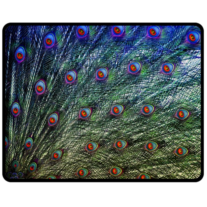 Peacock Feathers Colorful Feather Fleece Blanket (Medium) 