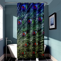 Peacock Feathers Colorful Feather Shower Curtain 36  X 72  (stall)  by Pakrebo