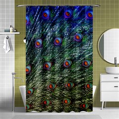 Peacock Feathers Colorful Feather Shower Curtain 48  X 72  (small)  by Pakrebo