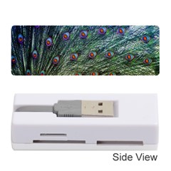 Peacock Feathers Colorful Feather Memory Card Reader (stick) by Pakrebo