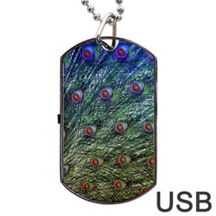 Peacock Feathers Colorful Feather Dog Tag Usb Flash (one Side) by Pakrebo