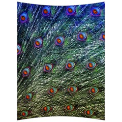 Peacock Feathers Colorful Feather Back Support Cushion by Pakrebo