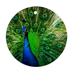 Peacock Peafowl Pattern Plumage Ornament (round) by Pakrebo