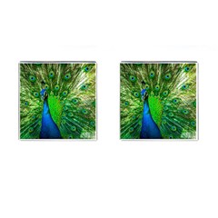 Peacock Peafowl Pattern Plumage Cufflinks (square) by Pakrebo