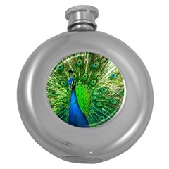 Peacock Peafowl Pattern Plumage Round Hip Flask (5 Oz) by Pakrebo