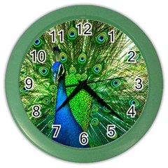 Peacock Peafowl Pattern Plumage Color Wall Clock by Pakrebo