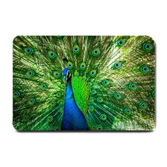 Peacock Peafowl Pattern Plumage Small Doormat  by Pakrebo