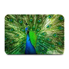 Peacock Peafowl Pattern Plumage Plate Mats by Pakrebo