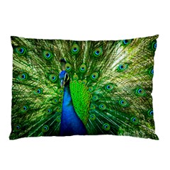 Peacock Peafowl Pattern Plumage Pillow Case by Pakrebo